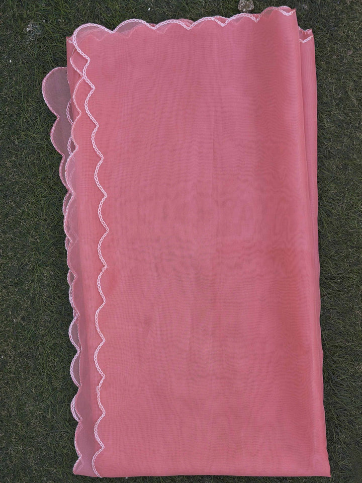 Blush-Pink-Organza-Embroidery-Straight-3-Piece-Kurta-Set