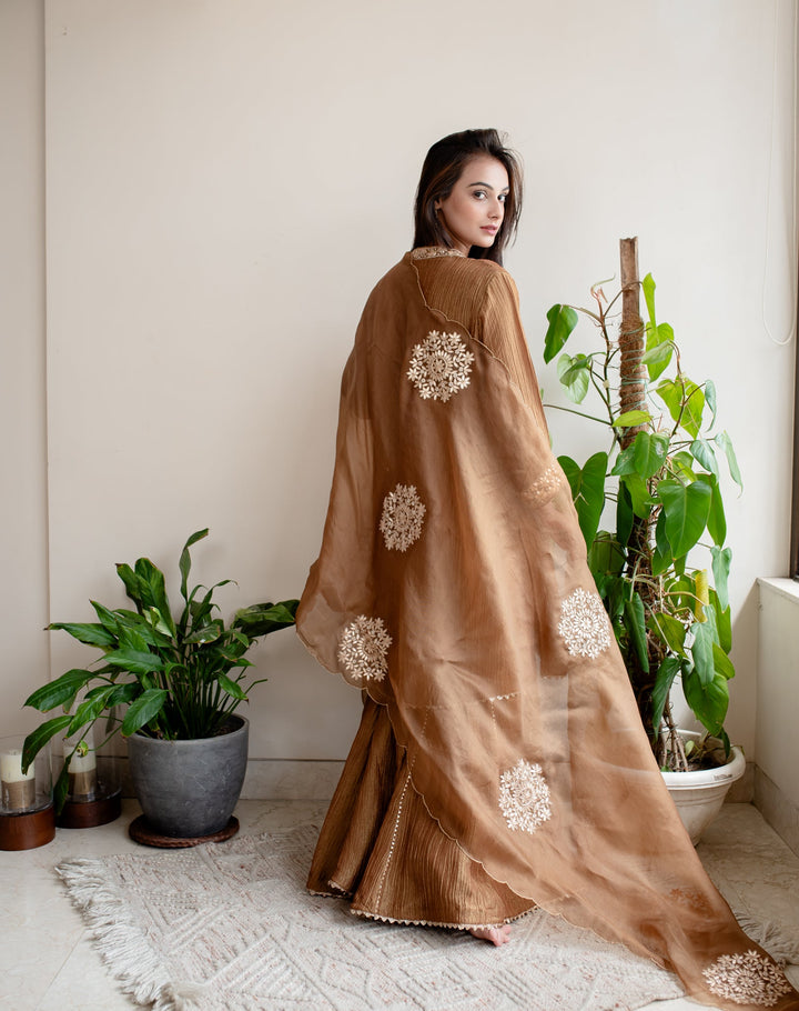 Brown-Crush-Tissue-Angrakha-Embroidered-Sharara-Set