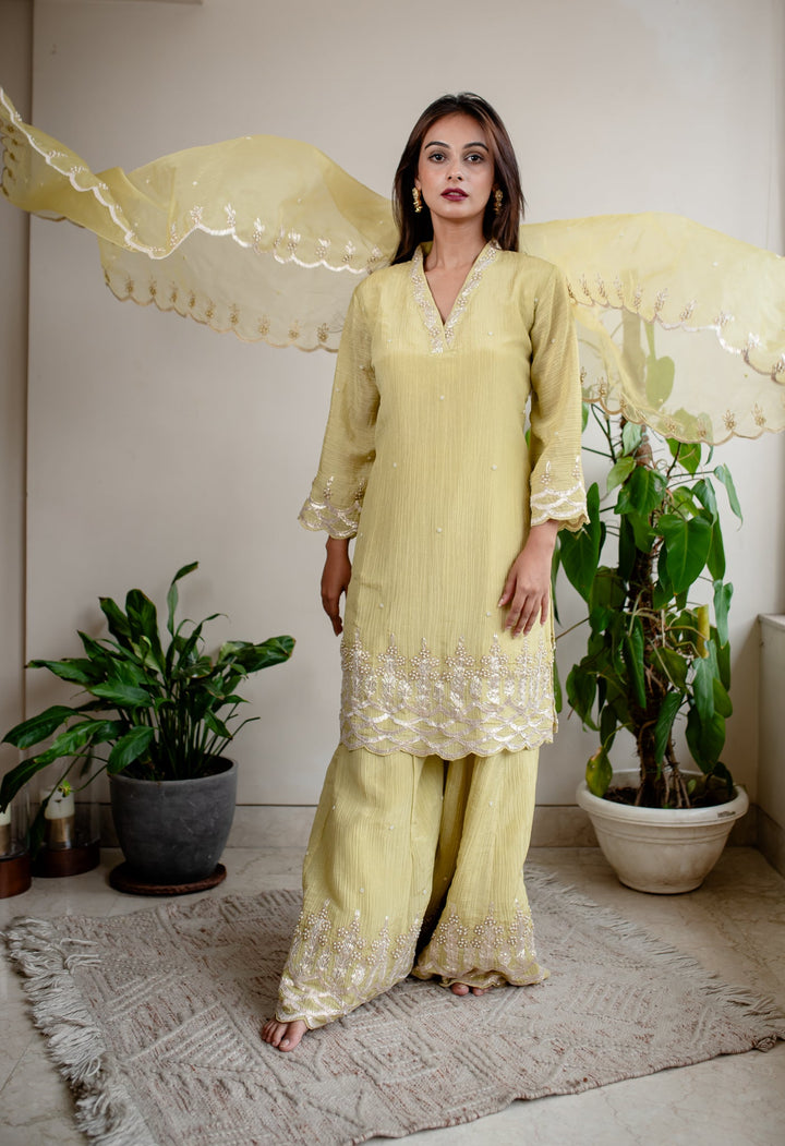 Light-Yellow-Tissue-Gotta-&-Pearl-Work-Sharara-Set