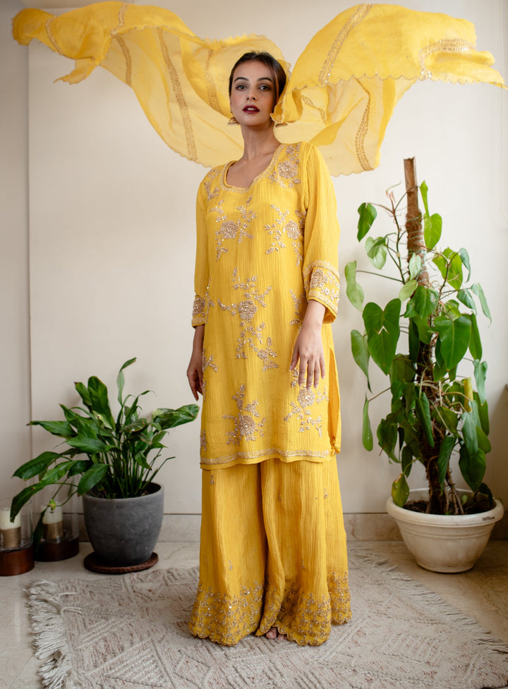 Mustard-Crush-Tissue-Hand-Embroidered-Sharara-Set