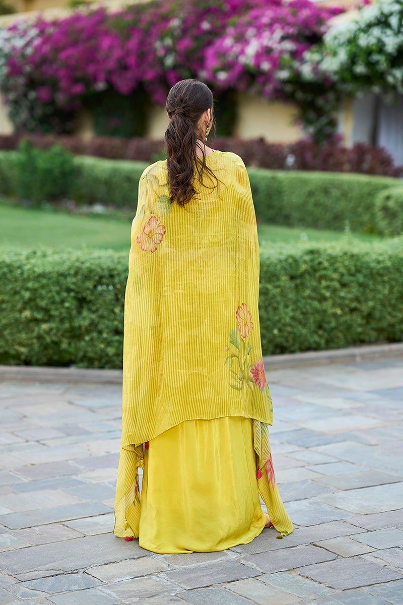 Green Chinon Chiffon Embroidered Top with Skirt & Shrug