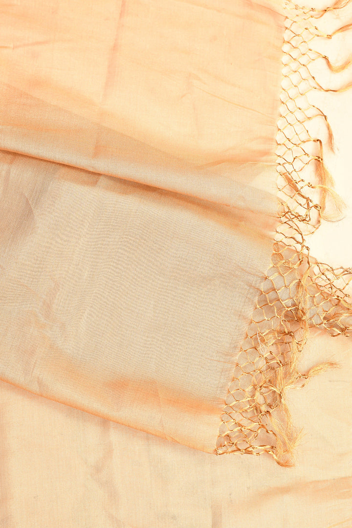 Peach-Golden-Pure-Zari-Tissue-Maheshwari-Plain-Saree