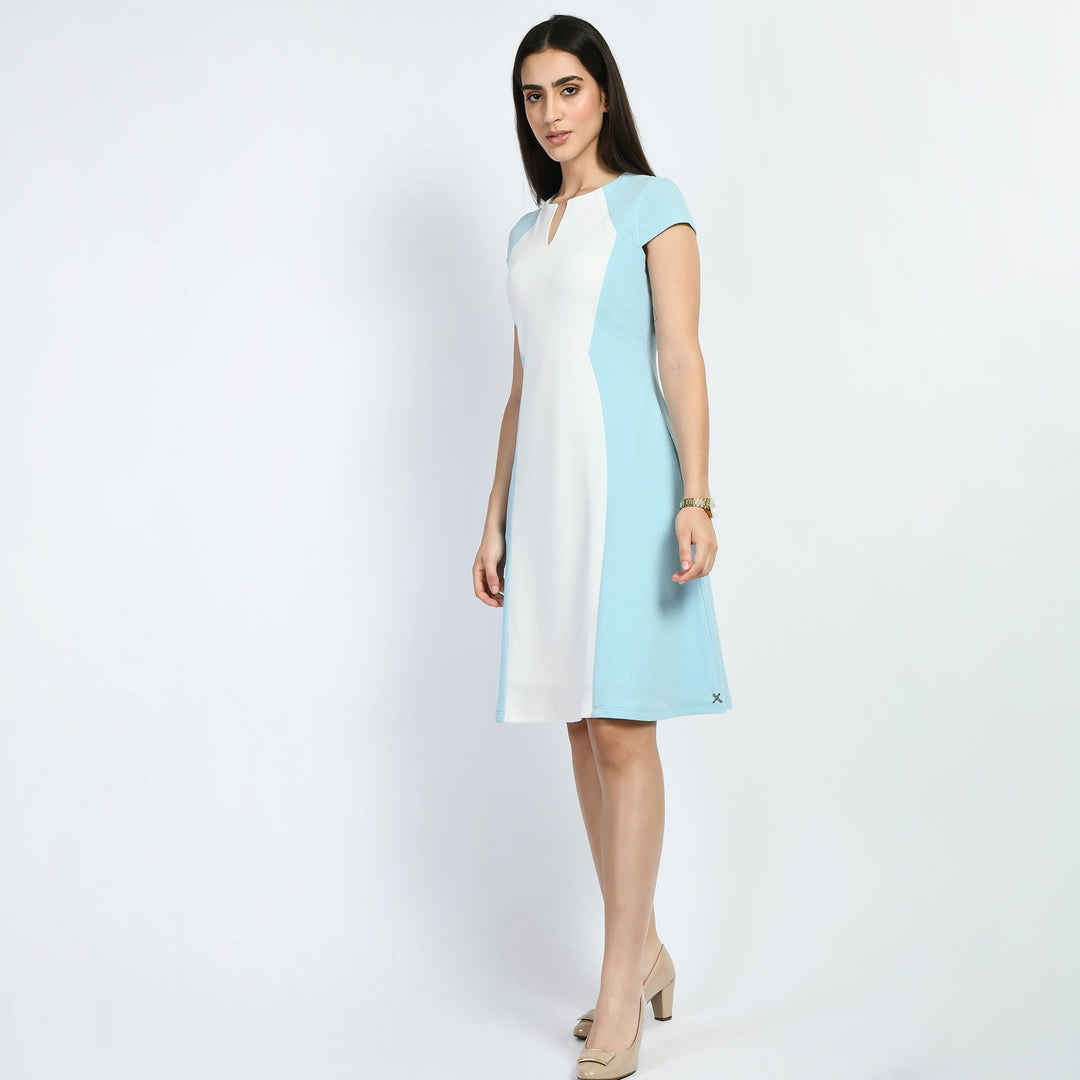 Sky-Blue-Cotton-Blend-Blocked-Sculpt-A-Line-Dress