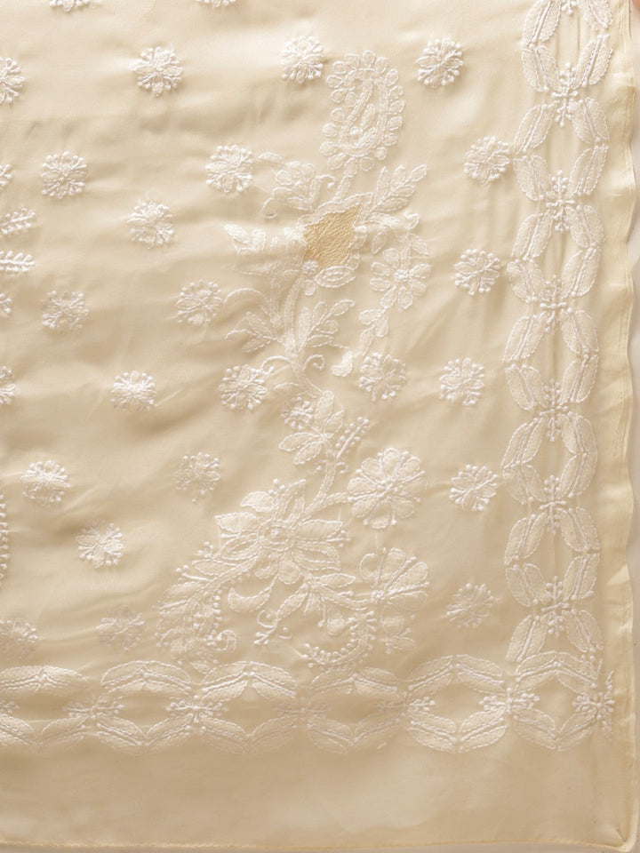 Fawn-Embroidered-Chikankari-Saree-With-Blouse
