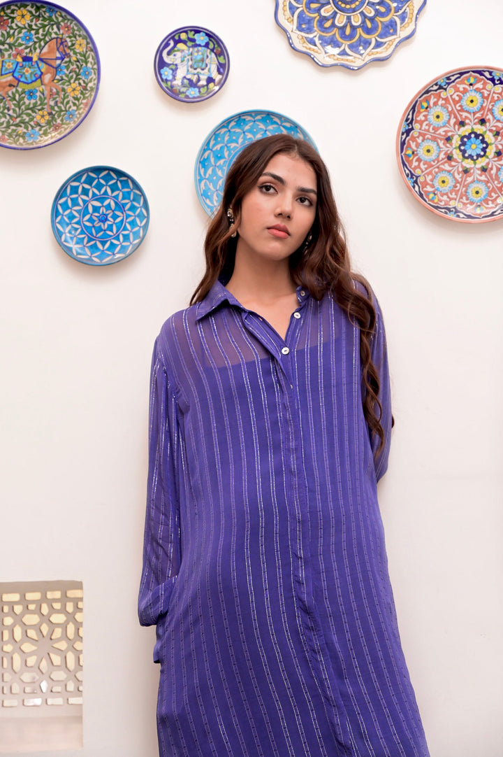 Neelambar Zari Textured Classic Textured Shirt Dress